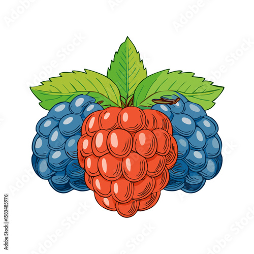 Raspberries and blackberries with leaves isolated on black background vibrant fruit illustration