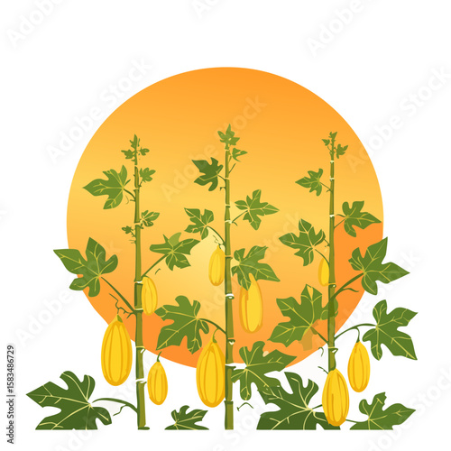 Papaya plants at sunset in a tropical garden illustration.