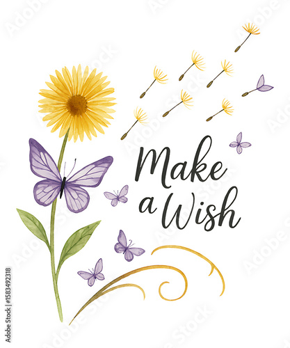 Make a wish
