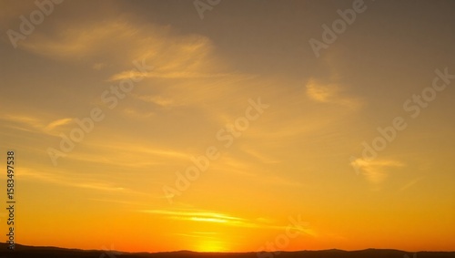 Beautiful Golden Sunset Over a Grassy Horizon