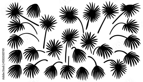 vector black palm leaves set. Clip art isolated on transparent background.