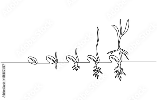Continuous one line drawing of step of grow plant. Vector illustration,  Sprout with leaves in simple linear style isolated one line vector illustration.