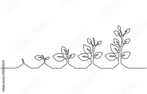 Continuous one line drawing of step of grow plant. Vector illustration,  Sprout with leaves in simple linear style isolated one line vector illustration.