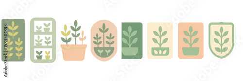 Plant illustration series featuring various pot designs and leaf shapes in soft colors