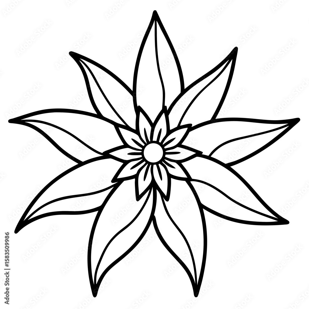 Fototapeta premium Edelweiss line art vector
