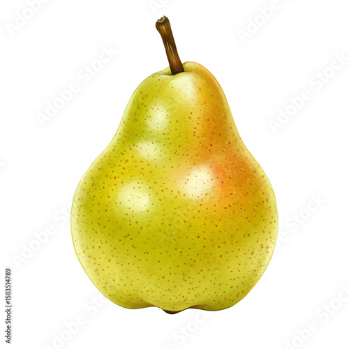 Ripe pear on white background