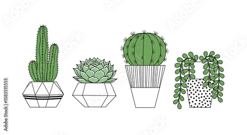 Collection of four diverse potted cactus and succulent plants in geometric and patterned pots for indoor decor