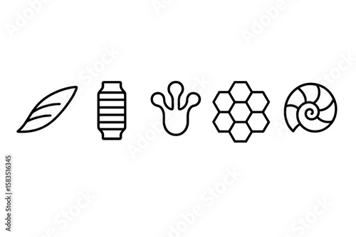 Nature inspired icons featuring a leaf, water bottle, frog footprint, honeycomb structure, and spiral shell design