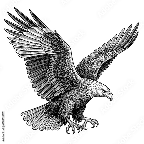A powerful eagle in a dynamic flight pose, captured in a detailed black and white vintage woodcut or engraved style.
