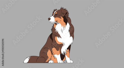 Animated australian shepherd dog sits and looks sideways with fluffy tail wagging proudly