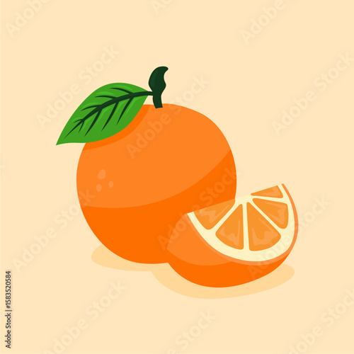 fresh orange fruit illustration vector stock