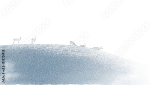 Snowy hill , isolated transparent background
