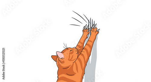 Orange tabby cat scratching a white wall showing destructive behavior