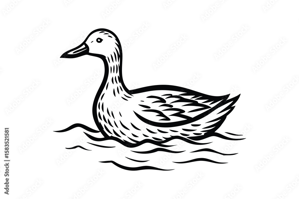 Obraz premium a black and white duck swimming in the water with waves, detailed duck, illustration of a duck, illustration, vector art, vector art, woodcut style, minimalist engraved vector,