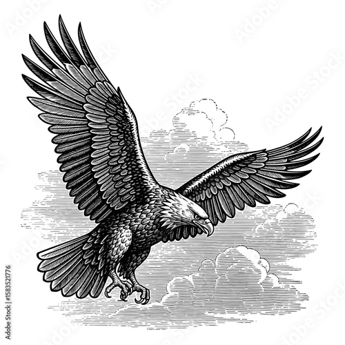 A majestic eagle in flight, captured in a detailed black and white vintage engraving style illustration against a cloudy sky.