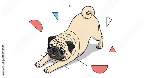 Adorable pug stretching with geometric shapes and lines white background fun playful canine pet animal