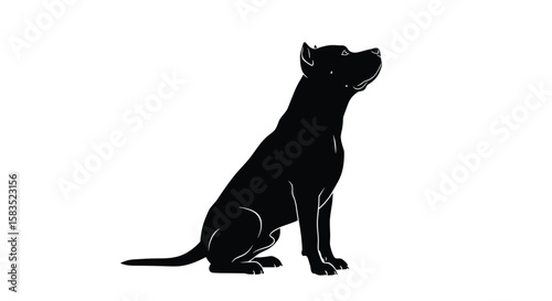 A majestic black dog sits alertly looking upwards in a classic silhouette pose