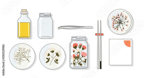 Preserving botanicals delicate flowers and herbs in jars for artistic display and study