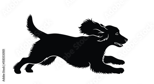 A happy black dog runs freely across a white background with its tail wagging