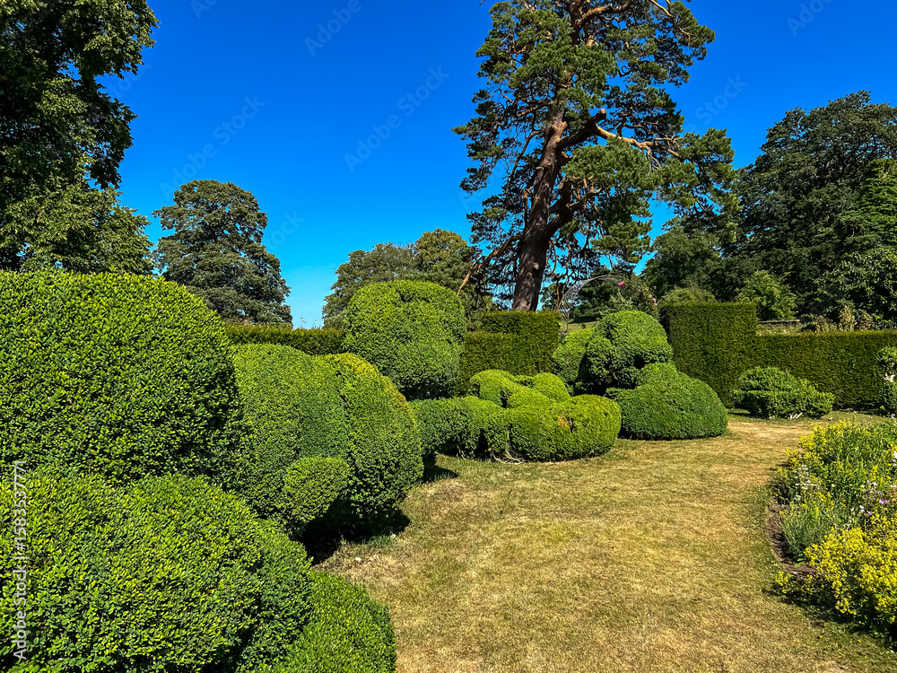 Obraz premium trees in the park