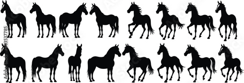 Horse Silhouette Collection