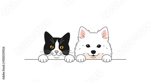 Adorable black and white kitten and fluffy white dog peeking over a barrier adorable friends together