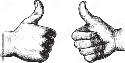 Thumb up and down recommend hand gesture sketch engraving vector illustration. Recommend. Scratch board imitation. Black and white hand drawn image.