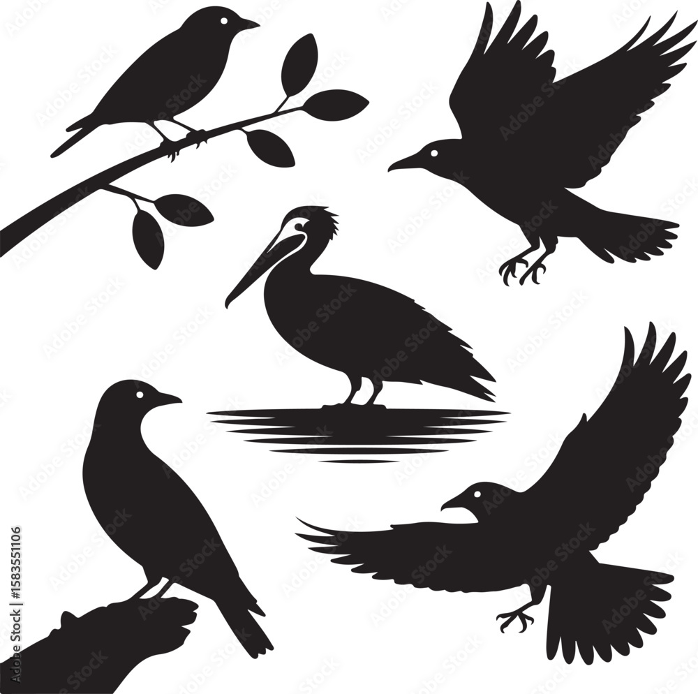 Obraz premium Black Bird Silhouettes Set - Flying, Perching, and Standing