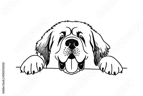 A black and white vector illustration of a large, happy-looking dog with a friendly, open expression. The dog's face is prominently featured, with detailed fur textures and defined features like eyes,