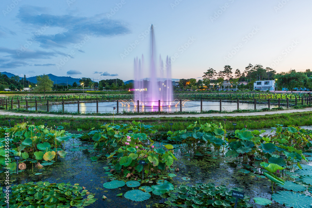Fototapeta premium The view of the fountain in the park in summer, where cool streams of water are pouring in