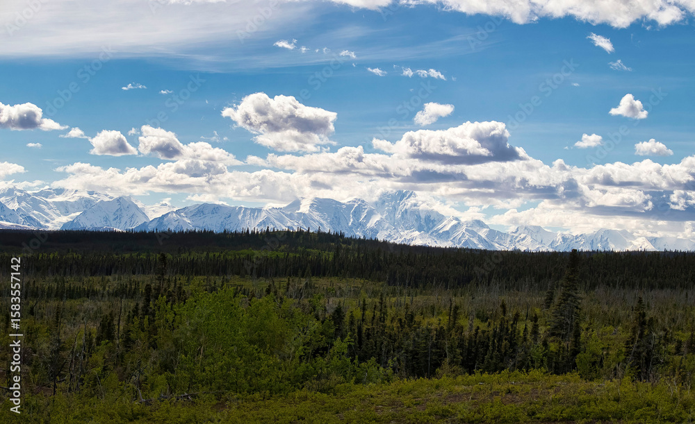 Fototapeta premium Alaska Range on spring day in Alaska