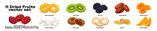 11 Dried Fruits vector set. Dried Cranberries, Pineapple, Kiwi, Coconut, Figs, Apples, Prunes, Dates, Apricot, Raisins, Mango