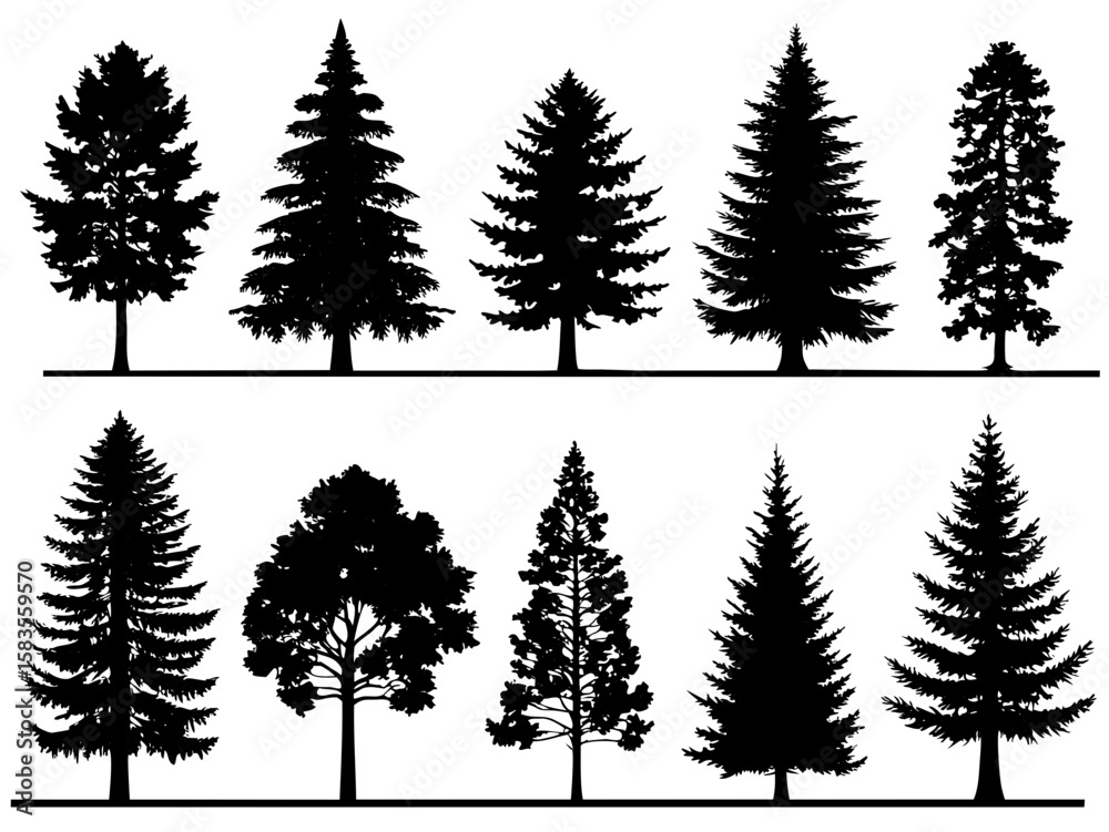 Obraz premium Silhouette vector illustration of various types of evergreen trees