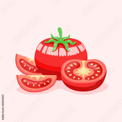 fresh tomato illustration vector stock