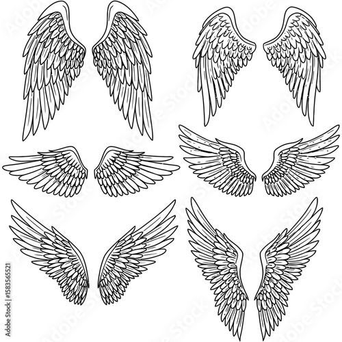 Collection of detailed hand-drawn angel wings in black and white. Various wing styles and shapes, isolated on white background, perfect for tattoos, fantasy art, and decorative design projects.