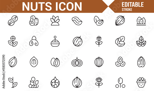 Clean and Simple Nut Icons Featuring Various Nuts, Seeds, and Plant-Based Foods