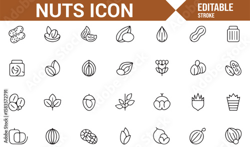 Collection of Nut and Seed Icons for Healthy, Organic, and Natural Snacks