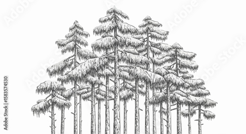 Pinusi forest porcelain decoration design (dark grey)