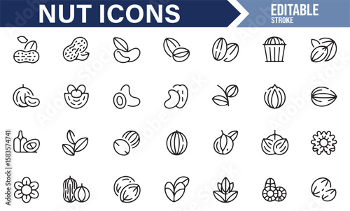Set of Minimalist Nut Icons for Nutrition, Healthy Eating, and Food Design