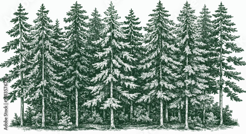 Pinusi forest porcelain decoration design (dark green)