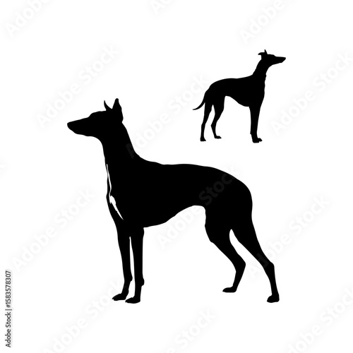 wild black animal dog lover design dog illustration design template