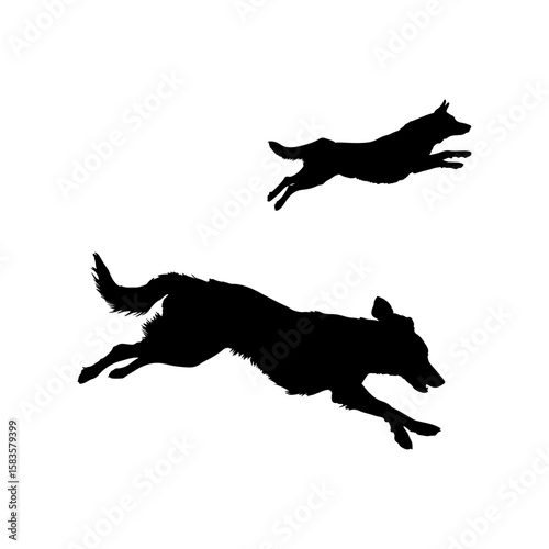 dog isolated mammal silhouette art dogs wildlife black icon graphic design
