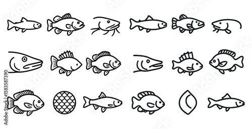 Series of fish drawn in black and white. The fish are all different sizes and shapes, and they are arranged in a line. Concept of variety and diversity, as well as the beauty of the natural world