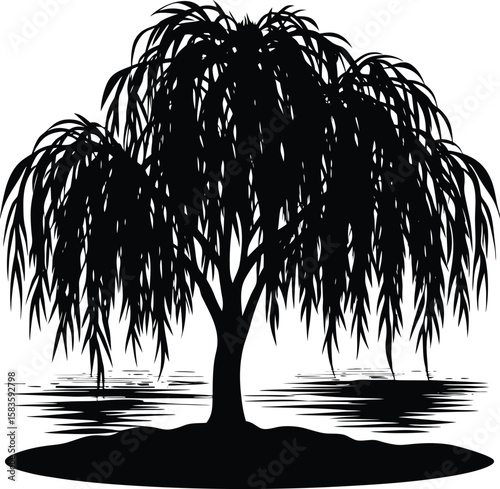 Willow tree by the lake silhouette 