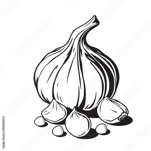 Garlic bulb and cloves vector design concept black and white illustration.