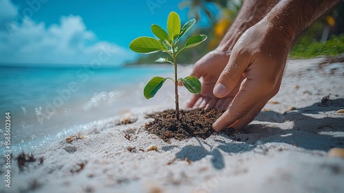 Gentle hands planting a sapling on a sandy beach next to ocean