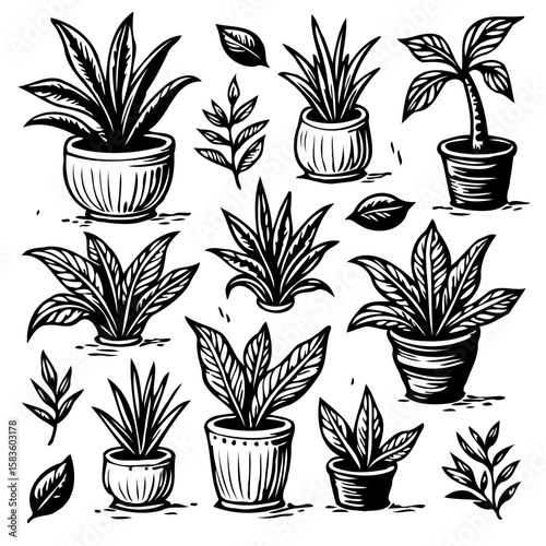 Elegant Black and White Line Art Depicting Potted Plants and Loose Leaves Illustration