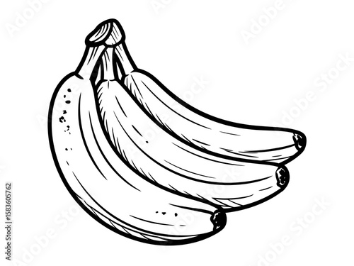 Drawn Delight A Bunch of Bananas in Detailed Black and White , Perfect for Illustration projects.