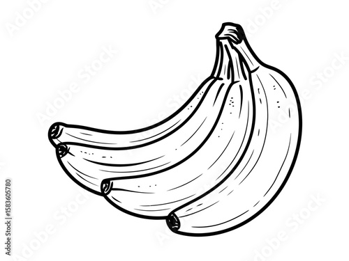 Banana Bunch Sketch Fresh and Delicious Illustration, a healthy, vibrant image.