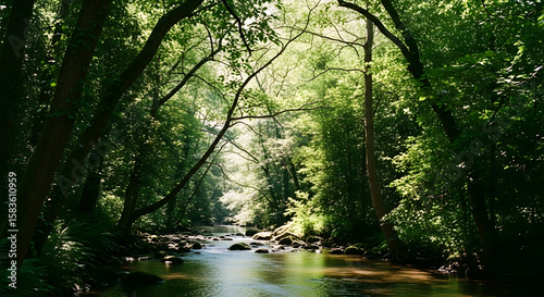 Sunlit river winding through a lush green forest canopy on a peaceful summer day